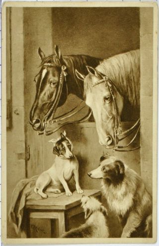 Antique Dogs Horse Vintage Postcard T.  S.  N Serie 1284