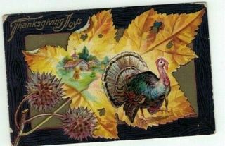 Antique Embossed 1910 Thanksgiving Post Card Autumn Leaf Frames Turkeys & Nuts