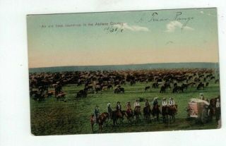 Tx Abilene Texas Antique Cowboy Western Post Card " Round - Up In Abilene "