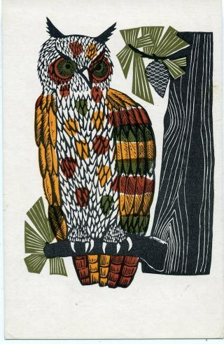 1972 Bubo - Bubo Uhu Owl Russian Unposted Postcard