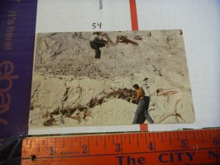 Colorado Postcard Utah Dinosaur National Monument Fossil Bones Quarry Digging