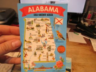 Vintage Old Postcard Alabama Cartoon State Map Cotton Flag Yellowhammer Bird