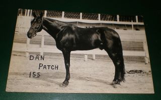 Old Rppc View Race Horse Dan Patch Photo Postcard