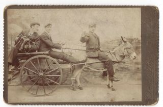 Cabinet Card Photograph Men In Donkey Cart With Accordion By Claude Low