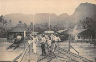Rarotonga,  Cook Islands,  Union Steam Ship Co Dock,  Men & Boys Dated 1910