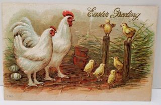 Easter Greetings Rooster Hen Chicks On Hitching Post Embossed Postcard E2
