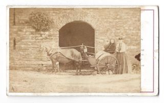Cdv Victorian Ladies With Horse & Trap Carte De Visite Photograph