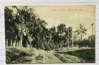 Brooksville Dirt - Road Live Oak Drive 102 Years Ago Florida Fl 1917 Postcard