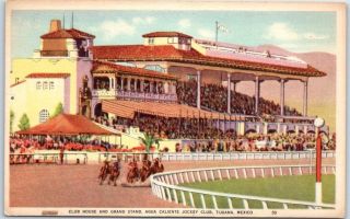 Tijuana,  Mexico Postcard " Club House & Grand Stand,  Agua Caliente Jockey Club "