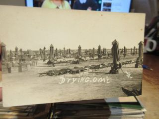 Other Old Postcard World War I Real Photo Picture Drying Out Camp Tents Cots