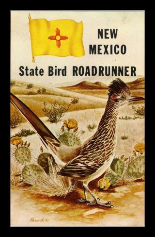 Dr Jim Stamps Us State Bird Roadrunner Mexico Topical Postcard