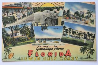 28c Linen Postcard Greetings From Florida Lower Gulf Coast