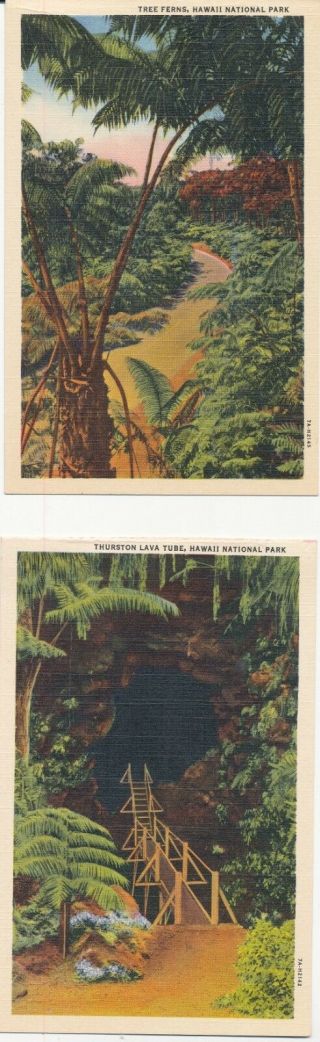 Two 1937 Hawaii Linen Pc,  Thurston Lava Tube & Tree Ferns,  Kilauea Volcano