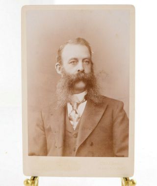 Antique Photo Of Man W/ Huge Mustache By The F.  Gutekunst Co. ,  Phila.  Pa 1880s