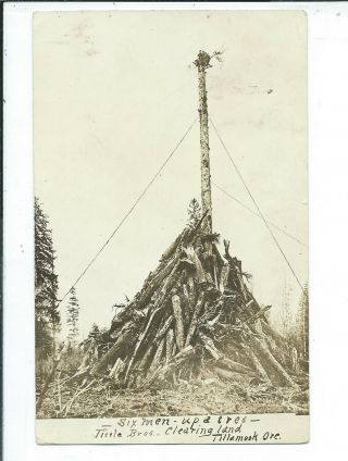 Tillamook Or Oregon Rppc Postcard Six Men Up A Tree Tittle Bros Clearing Land