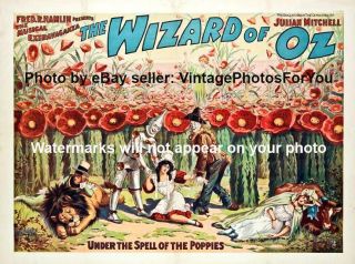Old/vintage Wizard Of Oz Tin Man Scarecrow Lion Poppy Field Wall Art/decor Photo