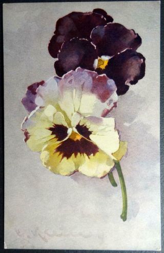 Postcard Artist Signed C.  Klein (catherine) Purple And White Pansies