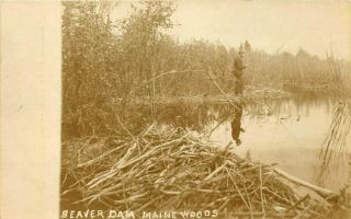 Maine Rppc Postcard: Man Fishing At Beaver Dam Maine Woods,  Me