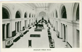 Chicago Illinois Il " Field Museum Natural History S.  Field Hall " Postcard