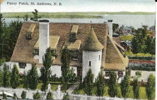 " Pansy Patch ",  St.  Andrews,  N.  B. ,  Vintage Postcard