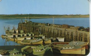 Evening Light,  Fishing Boats Cape St.  Mary Nova Scotia Ns Postcard