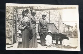 Women & Child At Zoo Antique Real Photo Postcard C1910 Black Bear