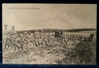 Postcard Wwi German Soldiers Digging Up Potatoes With Horses Standing By