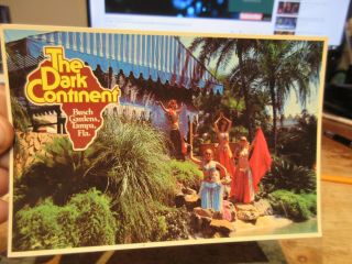 Vintage Old Postcard Florida Busch Gardens Tampa Bay Dark Continent Moorish Girl
