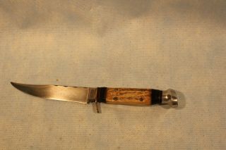 Olsen Solingen Germany Fixed Blade Knife No.  2700 5 " St 9 1/2 Inches
