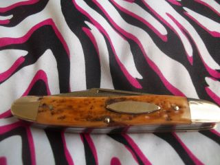 Vintage Bone Handle German Widow Creek Pocket Knife