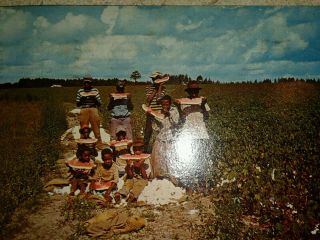 African American Watermelon Post Card