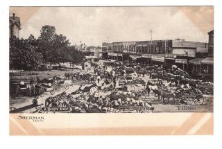 C 1905 Post Card " A Busy Day " Sherman Tx Market Day Street Full Of Wagons