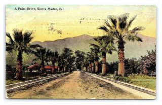Vintage Postcard Palm Drive Sierra Madre California Panama Pacific 1915 F12