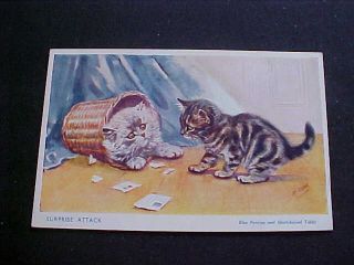 Blue Persian & Short - Haired Tabby Kittens Surpirse Attack M.  Gear Postcard