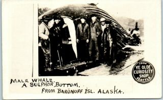 1920s Seattle Ye Olde Curiosity Shop Rppc Postcard Baronoff Island Alaska Whale