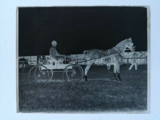 Glass Negative Plate Circa 1900 / Edwardian Horse And Carriage Trials