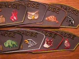 Full Set Of 8 Critter Csp Wood Badge Patch Course