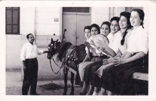 Egypt Old Vintage Photograph.  Cute Girls With Donkey Cart