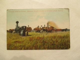 Threshing Wheat At Carmen Manitoba Canada Line Canadian Pacific Railway Postcard