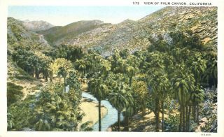 Panorama View Palm Canyon Near Palm Springs California Postcard Nature Mountain