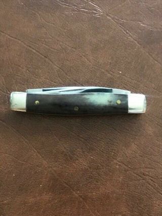 Vintage 9 Dot 1981 Case Xx A62033 Appaloosa Bone Pocket Knife