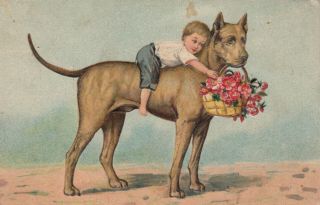 Boys Rides A Dog,  1909