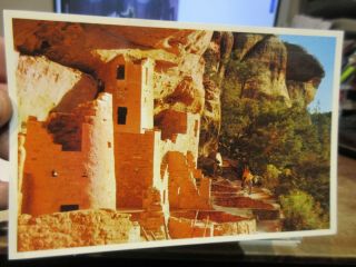 Vintage Old Colorado Postcard Mesa Verde National Park Cliff Palace Dwellings