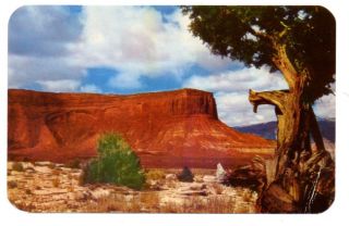5431 Az Arizona Monument Valley Photo By Barry Goldwater 1951 Postcard
