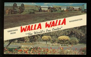 Greetings From Walla Walla,  Washington (wallawallawa8
