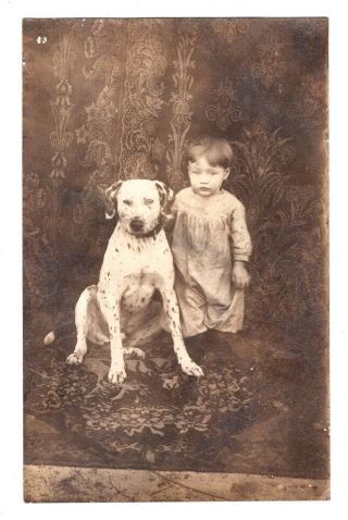 Antique Real Photo Post Card Little Boy With A Big Dalmatian Dog