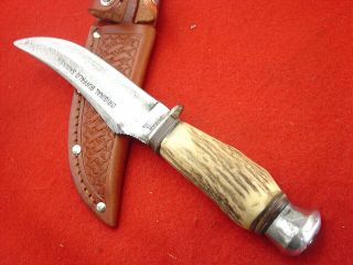 Edge Brand Made In Germany Stag 8 - 5/8 " Buffalo Skinner Sheath Knife