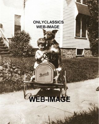 1921 Cute Little Boy & His Dog In Vintage Buick Pedal Car 8x10 Photo Americana