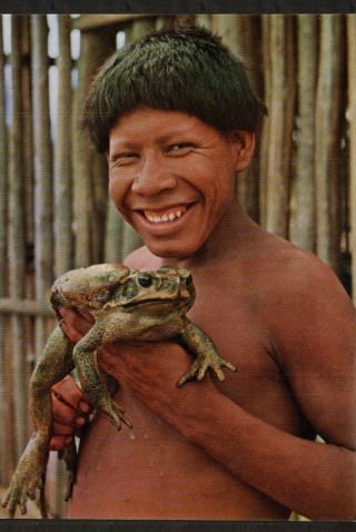 X3143 Ethnic Brasil Tosseco Kalapala Indian With Big Frog Postcard