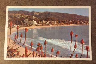 Beach Scene,  Laguna Beach,  Ca Vintage Postcard C.  1955